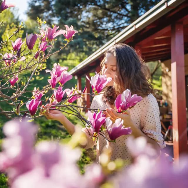 Cómo llevar la primavera a su hogar. (Olezzo/Shutterstock).