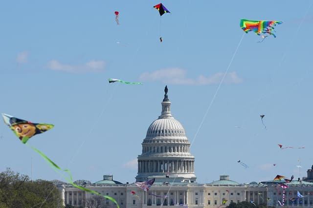 En el fondo se divisa el Capitolio de Estados Unidos mientras vuelan cometas a lo largo del National Mall durante el Festival de Cometas de los Cerezos en Flor, celebrado en Washington, D.C., el 28 de marzo de 2026. (Ken Cedeno / AFP vía Getty Images)
