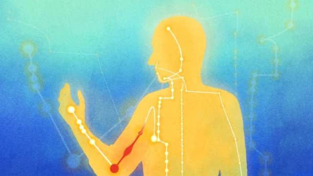 Meridianos: Cómo una miríada de síntomas resultan de bloqueos en tu cuerpo