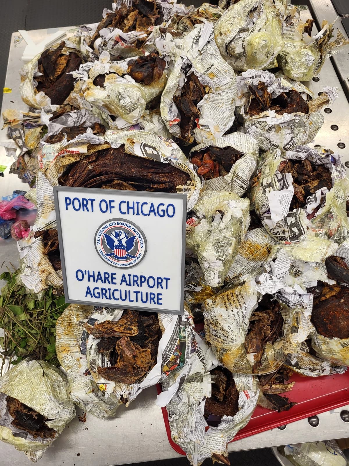 El Servicio de Aduanas y Protección Fronteriza de Estados Unidos incautó más de 100 libras de carne de rumiantes escondida en el equipaje de un viajero liberiano en el Aeropuerto Internacional O'Hare de Chicago el 11 de abril de 2026.