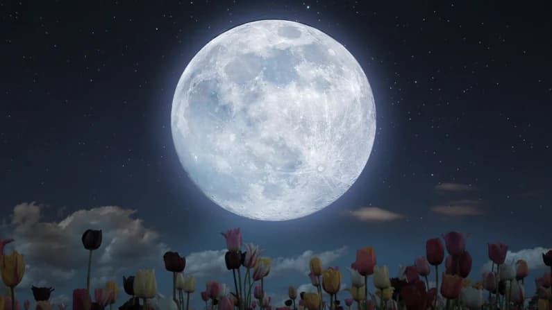 En mayo habrá dos lunas llenas, incluyendo una rara microluna azul: Todo lo que necesita saber