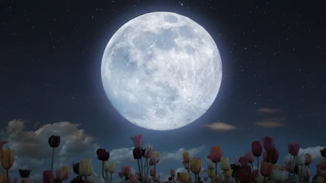 En mayo habrá dos lunas llenas, incluyendo una rara microluna azul: Todo lo que necesita saber