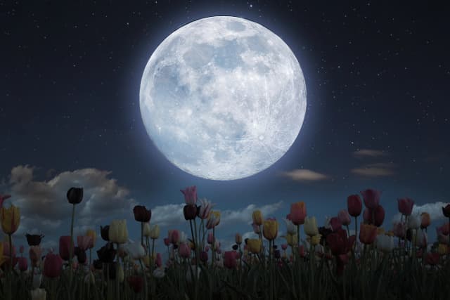 Representación artística de una luna azul. (The Epoch Times/Shutterstock/astronightskies/SusaZoom)
