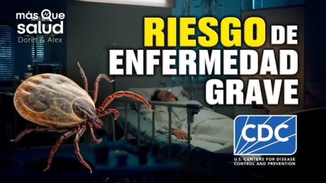 Alerta: Aumentan picaduras de garrapatas y riesgo de enfermedad grave