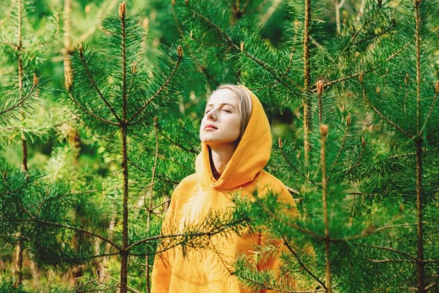 Un minuto de sonidos de la naturaleza puede mejorar su ánimo y reduce el estrés