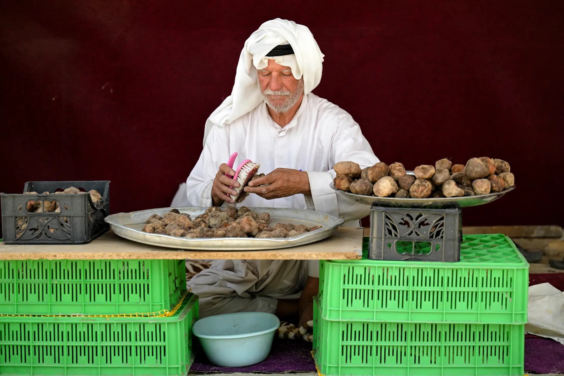 Un vendedor limpia y dispone trufas del desierto, un hongo subterráneo propio de los entornos áridos, para su venta en el mercado de trufas de la ciudad de Kuwait el 5 de mayo de 2026. (Yasse Al-Zayyat/AFP vía Getty Images).