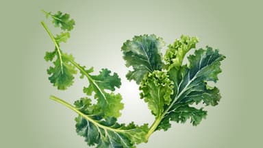 La col rizada mejora la salud vascular y apoya la desintoxicación: cómo maximizar sus beneficios