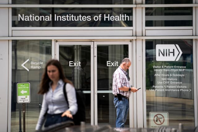 El Instituto Nacional de Salud en Bethesda, Maryland, el 30 de mayo de 2024. (Madalina Vasiliu/The Epoch Times).