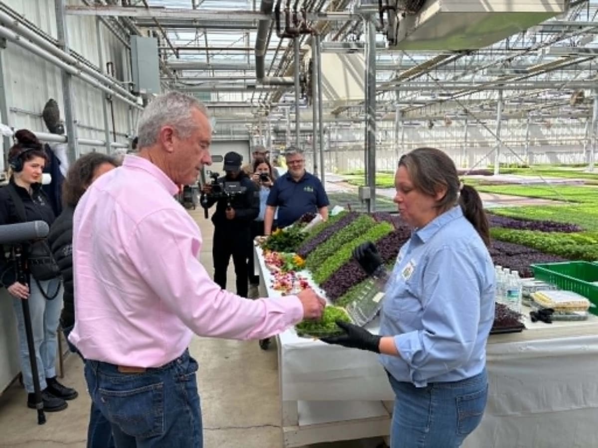 El secretario de Salud y Servicios Humanos, Robert F. Kennedy Jr., toma muestras de microvegetales en The Chef's Garden en Huron, Ohio, el 6 de mayo de 2026. (Jeff Louderback/The Epoch Times)