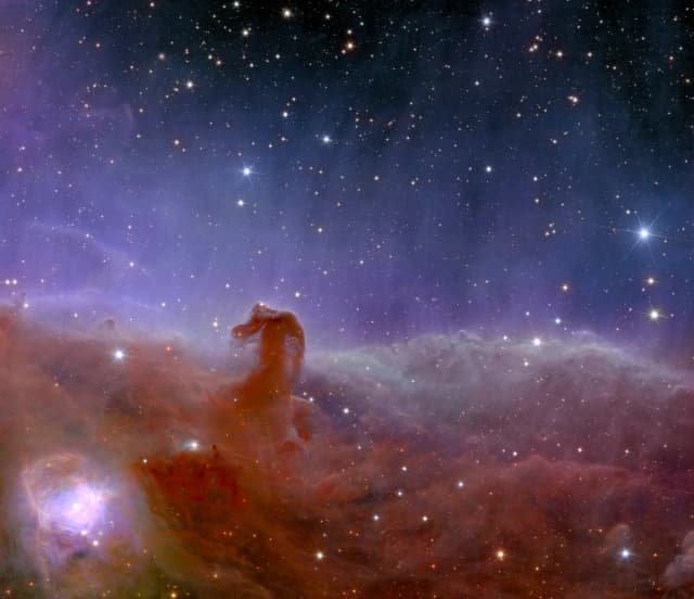Vista panorámica de la Nebulosa Cabeza de Caballo tomada por Euclides. (Agencia Espacial Europea vía AP)
