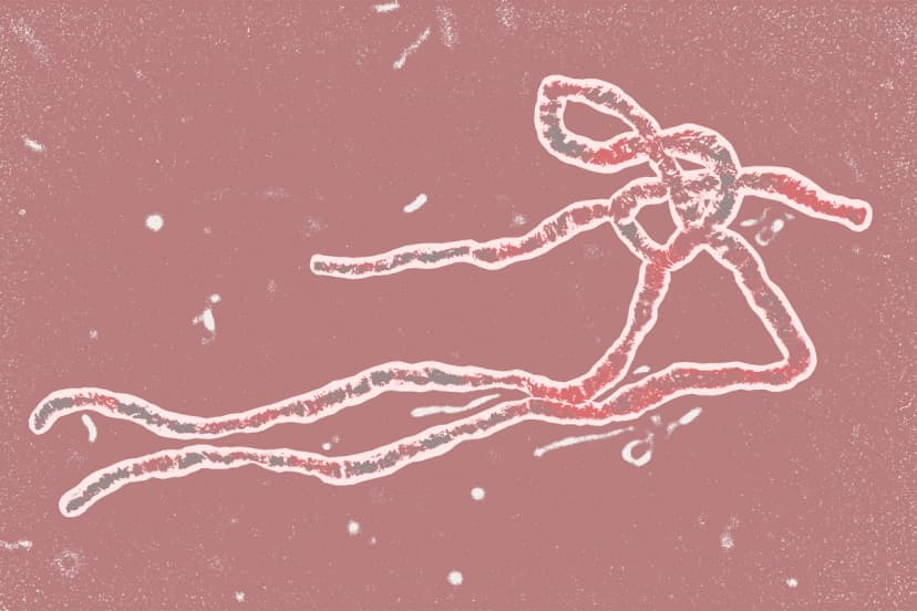 (Ilustración de The Epoch Times, Shutterstock)