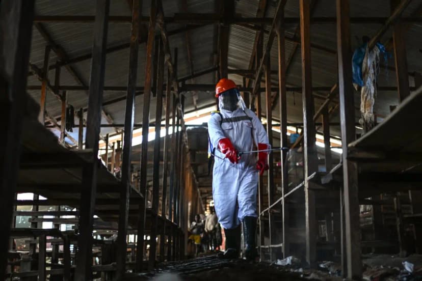 Un trabajador de saneamiento del gobierno de la ciudad de Bunia rocía cloro para desinfectar el mercado central, mientras la provincia de Ituri continúa combatiendo un brote de ébola, en Bunia, Congo, el 23 de mayo de 2026. (Moses Sawasawa/AP Photo).