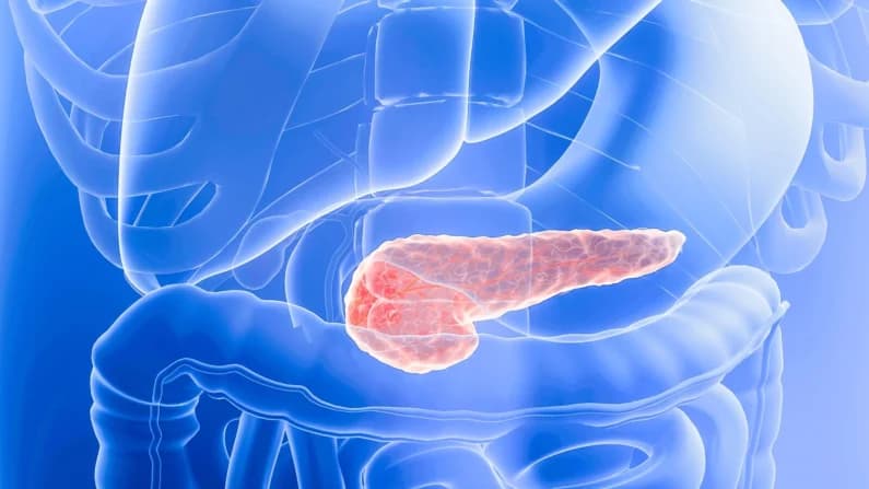 Nuevo fármaco prolonga la supervivencia de pacientes con cáncer de páncreas