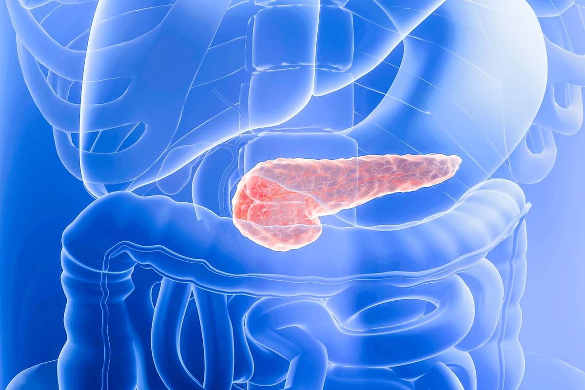 Nuevo fármaco prolonga la supervivencia de pacientes con cáncer de páncreas