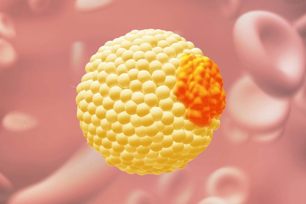 Imagen de Salud