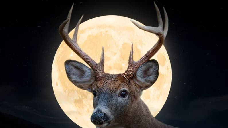 La Luna Llena del Ciervo se unirá a dos lluvia de meteoros, Plutón y al encanto del verano en julio