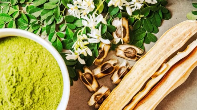 Moringa: superalimento ancestral que nutre el cerebro y fortalece la inmunidad