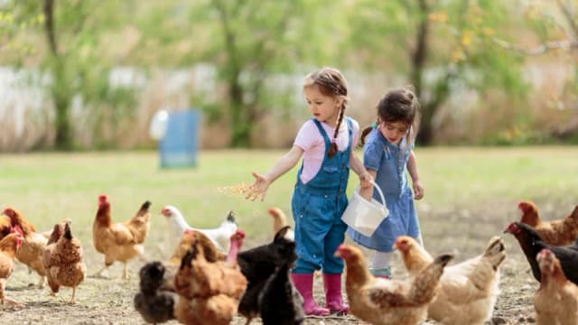 Lo que me enseñó la agricultura