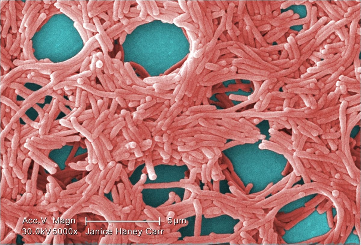 Imagen de Salud