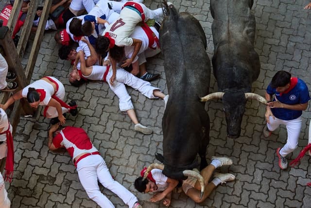 Participantes caen junto a los toros de lidia de la ganadería José Escolar durante el quinto encierro de las fiestas de San Fermín, en Pamplona, España, el sábado 11 de julio de 2026. (Miguel Oses/AP)
