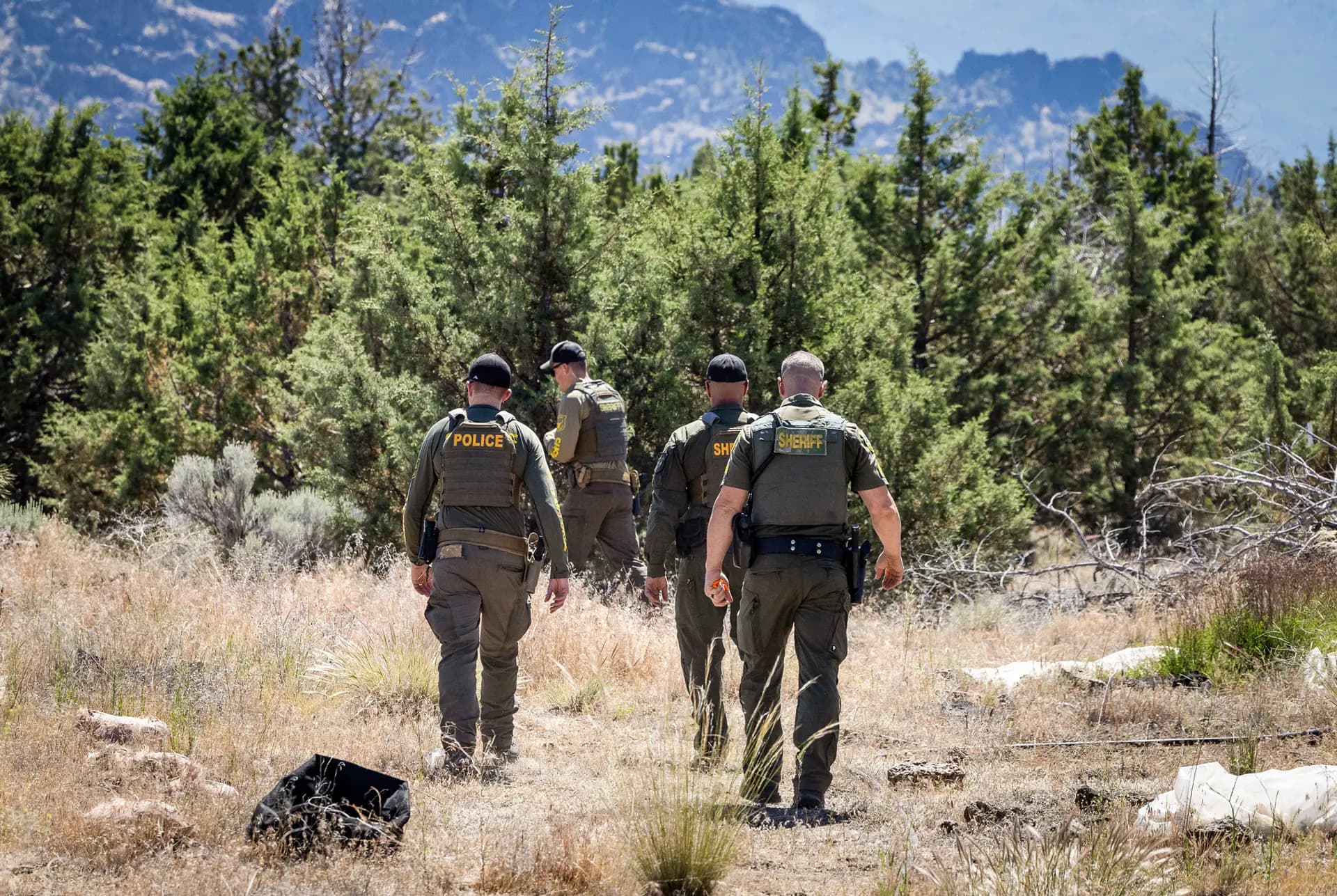 <em>Agentes del Departamento del Sheriff del Condado de Siskiyou participaron en una operación contra plantaciones ilegales de marihuana en las afueras de Montague, California, el 4 de junio de 2026. El sheriff declaró que los delitos violentos relacionados con el cultivo ilegal de marihuana habían aumentado significativamente. (John Fredricks/The Epoch Times)</em>