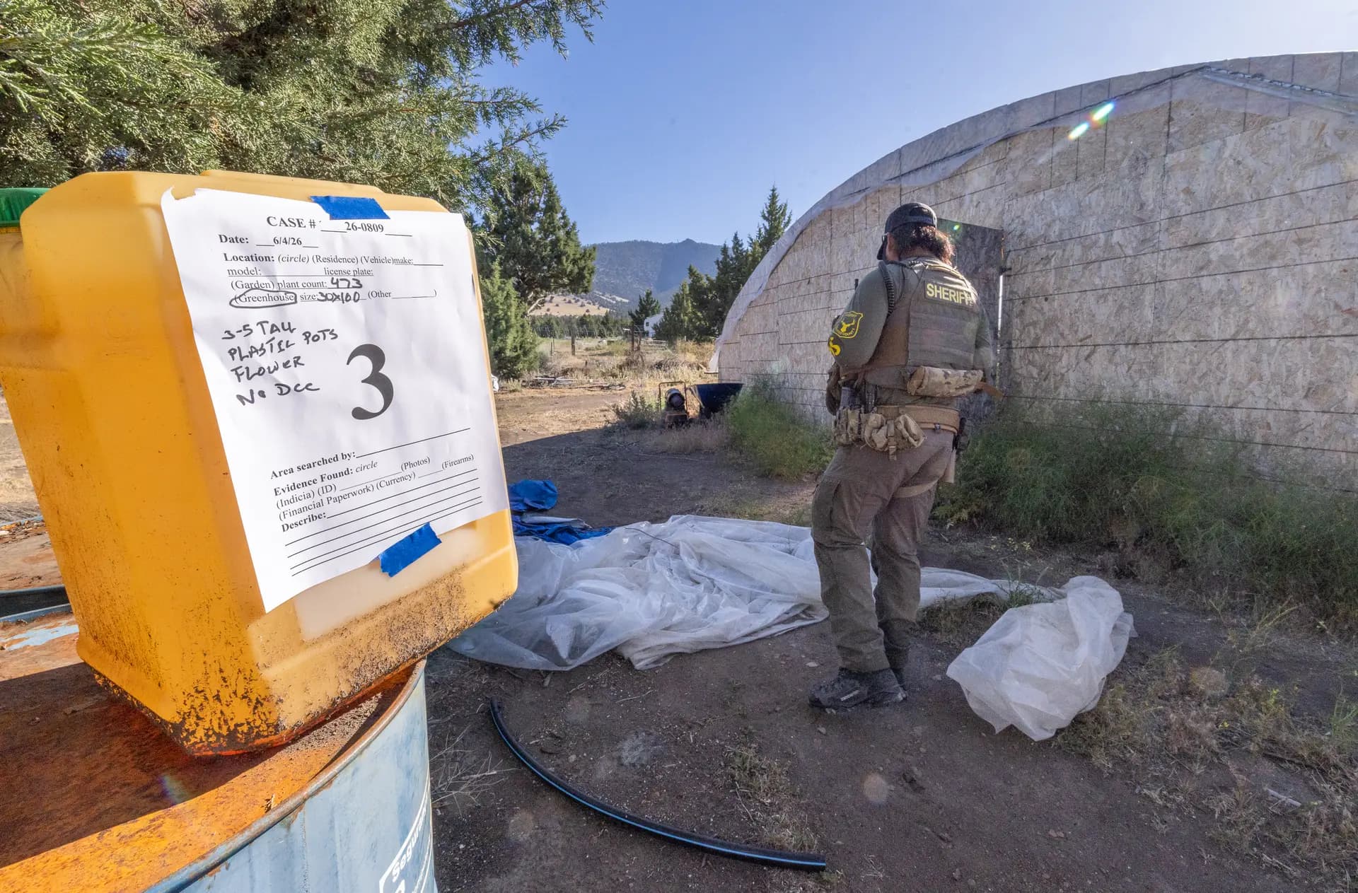 En fotos: California enfrenta otro hallazgo de sembradíos de marihuana con químicos tóxicos