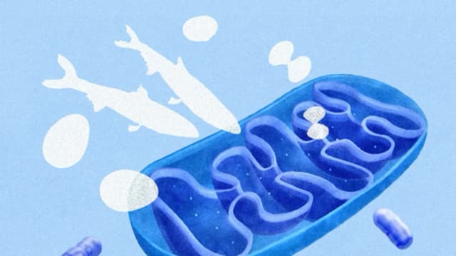 Cómo la falta de vitamina B12 puede imitar los signos del envejecimiento