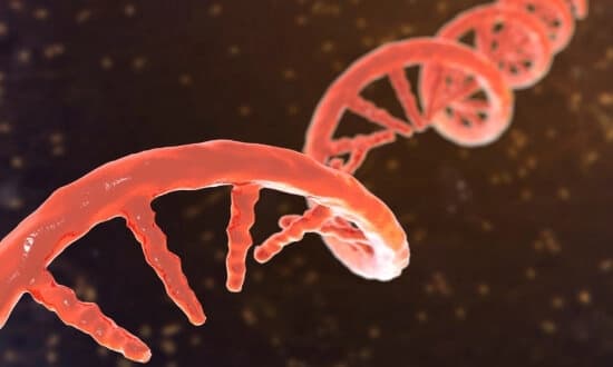 Modelo molecular del ácido ribonucleico mensajero (ARNm), en una imagen de archivo sin fecha. (Kateryna Kon/Shutterstock)
