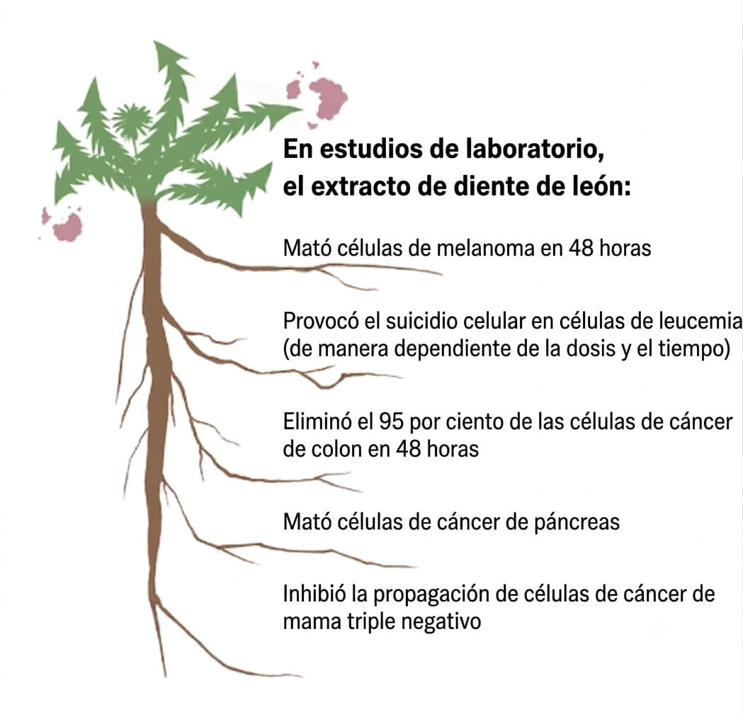 (Ilustración de Lumi Liu)