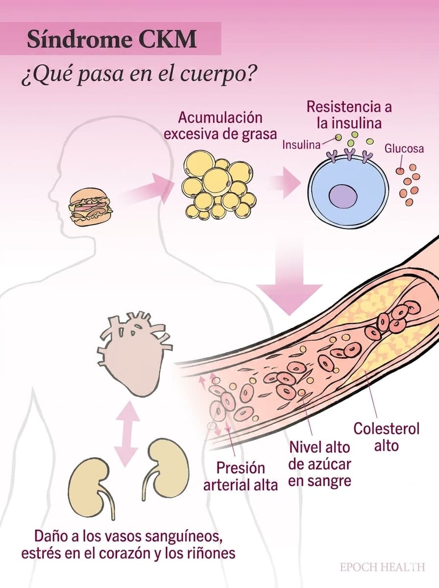 <em>(Ilustración de Ran/The Epoch Times).</em>