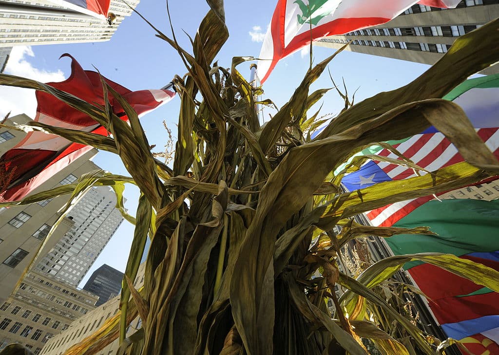 <em>Una mazorca de maíz ondea entre las banderas en el Rockefeller Center en una imagen de archivo. (TIMOTHY A. CLARY/AFP vía Getty Images)</em>