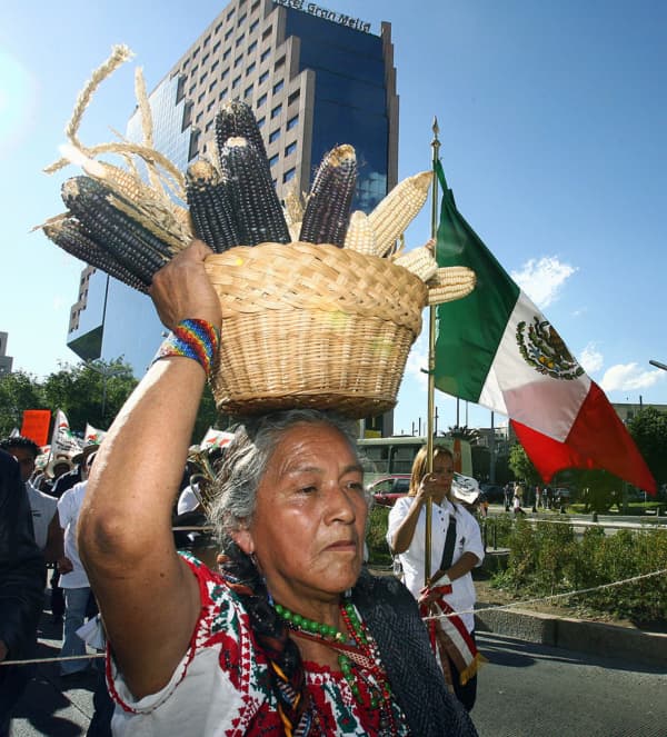 <em>Una campesina lleva una canasta con mazorcas en una manifestación en la Ciudad de México contra el aumento del precio del maíz, alimento básico para la población, el 31 de enero de 2007. El Gobierno había fijado el precio máximo de la tortilla de maíz en 8.50 pesos mexicanos. (Omar Torres/AFP vía Getty Images)</em>