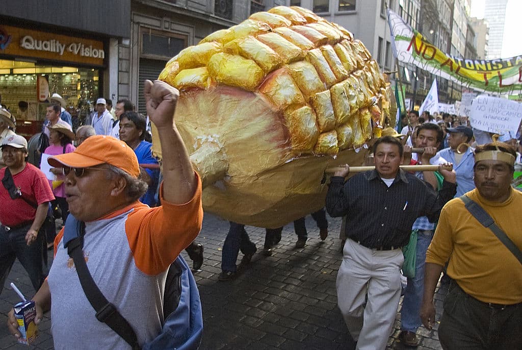 <em>Agricultores mexicanos participan el 31 de enero de 2008 en la Ciudad de México en una marcha de productores de maíz contra el Tratado de Libre Comercio de América del Norte (TLCAN), que el 1 de enero liberalizó las importaciones de maíz procedentes de Estados Unidos. (Luis Acosta/AFP vía Getty Images)</em>