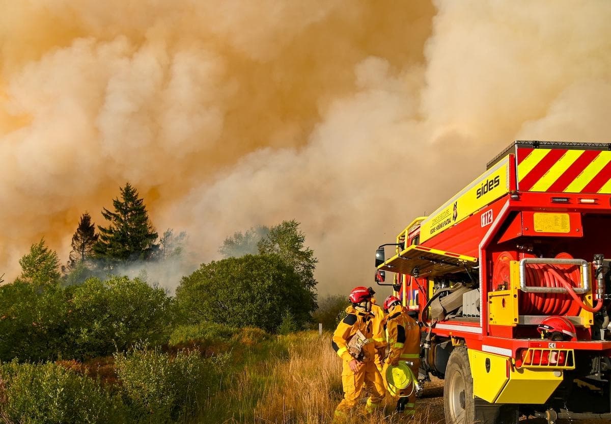 Bomberos combaten el histórico incendio forestal en los Altos Fens de Bélgica el 15 de agosto de 2026. (Cortesía de VHP)