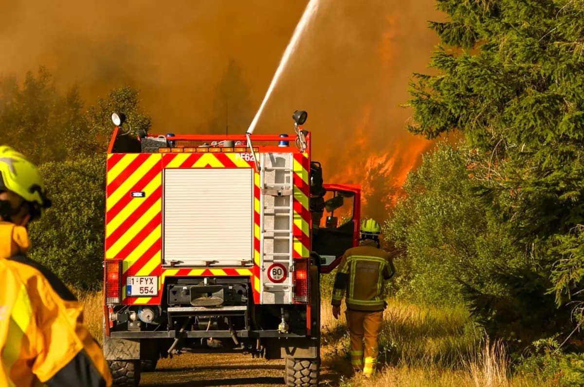 Los bomberos combaten el histórico incendio forestal en las Altas Fens de Bélgica el 15 de agosto de 2026. (Cortesía de VHP)