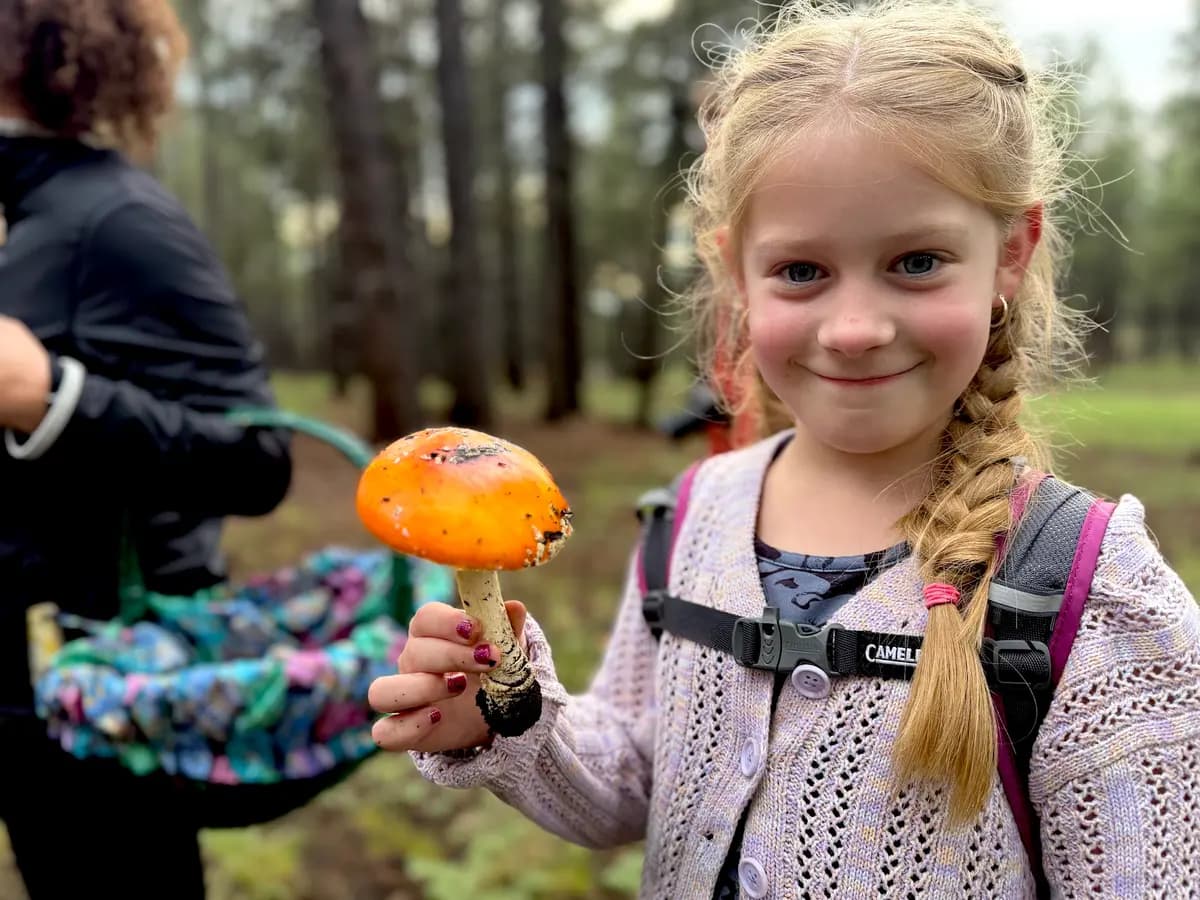 <em>Jovie, de 7 años, hija de Michelle Lindsay, sostiene una colorida seta durante una excursión el 14 de agosto de 2026, patrocinada por la Sociedad Micológica de Arizona. (Allan Stein/The Epoch Times).</em>