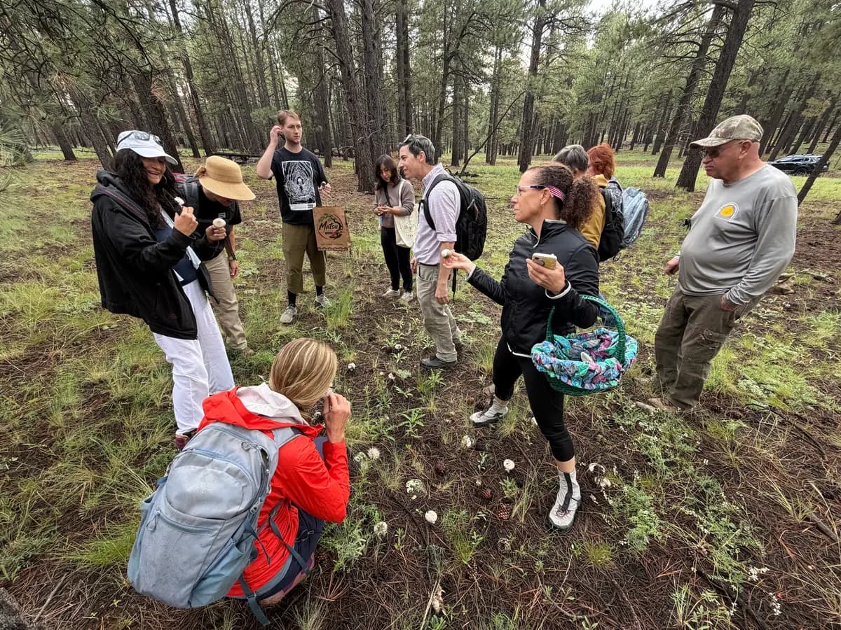 <em>Un grupo de aficionados a la recolección de setas se reúne cerca de un grupo de setas silvestres en el Bosque Nacional Coconino, cerca de Flagstaff, Arizona, el 14 de agosto de 2026. (Allan Stein/The Epoch Times).</em>