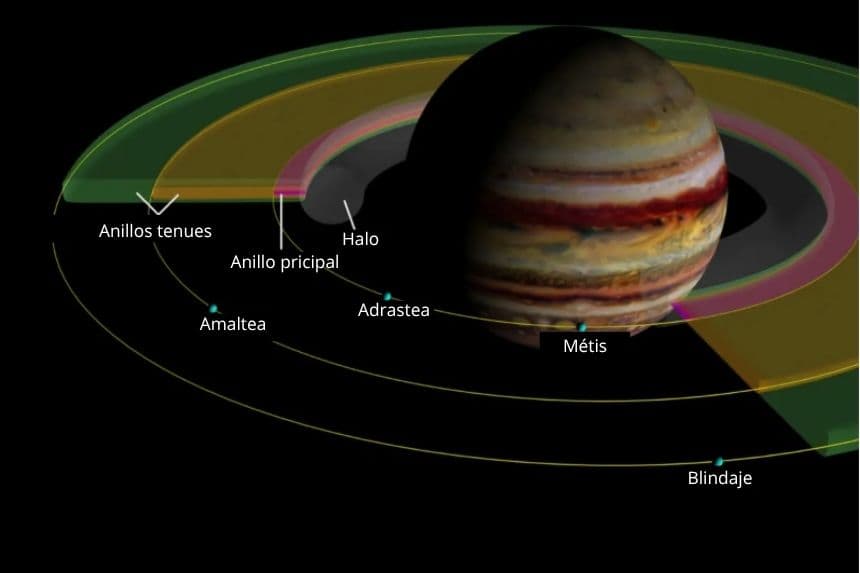 Esquema del sistema de anillos de Júpiter y sus cuatro lunas interiores. Amaltea es la tercera luna interior, la más externa, que orbita dentro de los delicados anillos. NASA/JPL/Universidad de Cornell. (Dominio público).