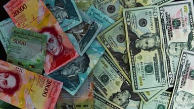 Diputado local propone dolarización y afirma que asesor estadounidense visitará Venezuela