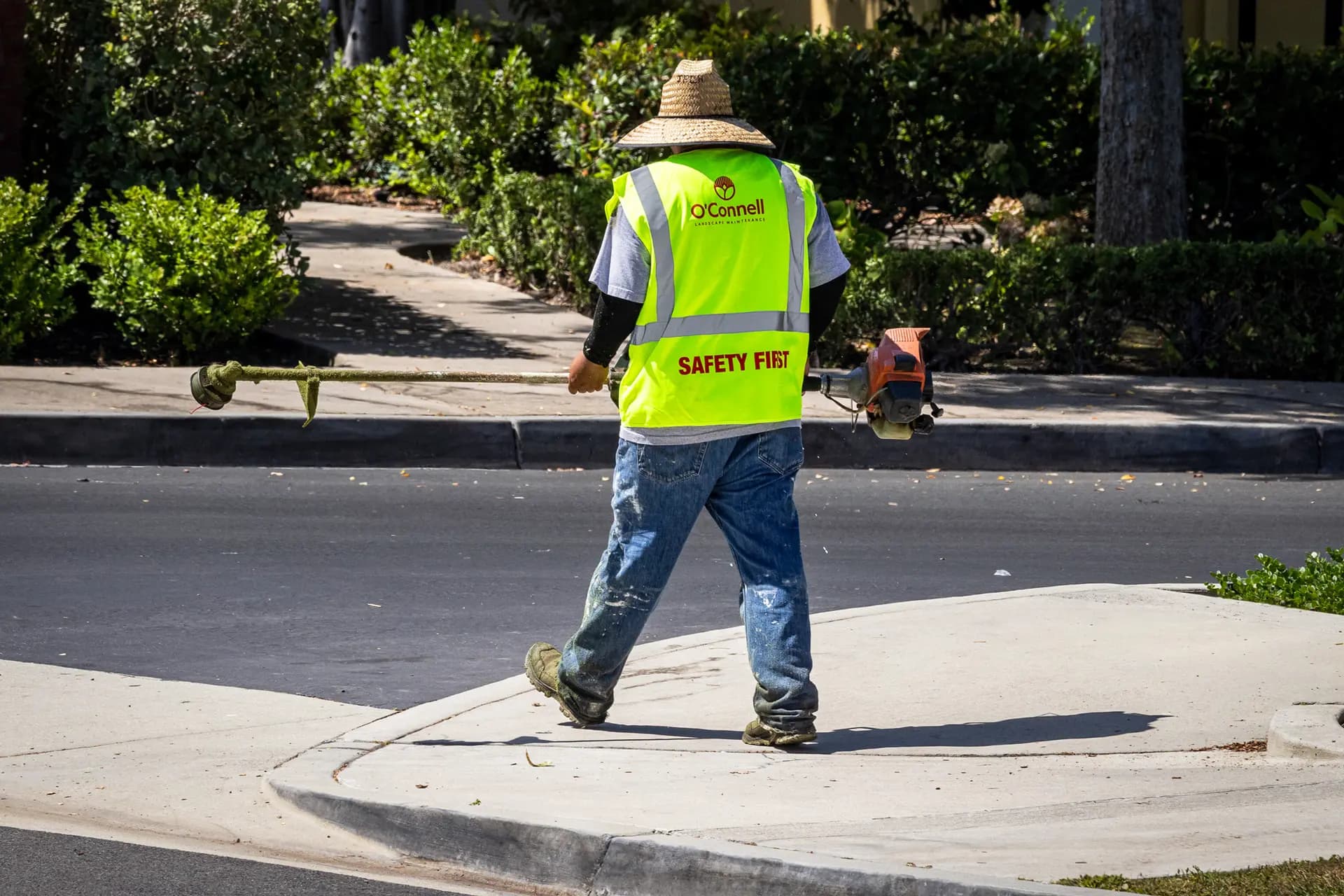 Los jardineros de O'Connell trabajan en Ladera Ranch, California, el 24 de julio de 2026. Kara Bell, de O'Connell, le dijo que habían dejado de usar el controvertido herbicida glifosato en 2016. Sin embargo, los registros muestran que todavía lo aplicaban en 2019. (John Fredricks/The Epoch Times)