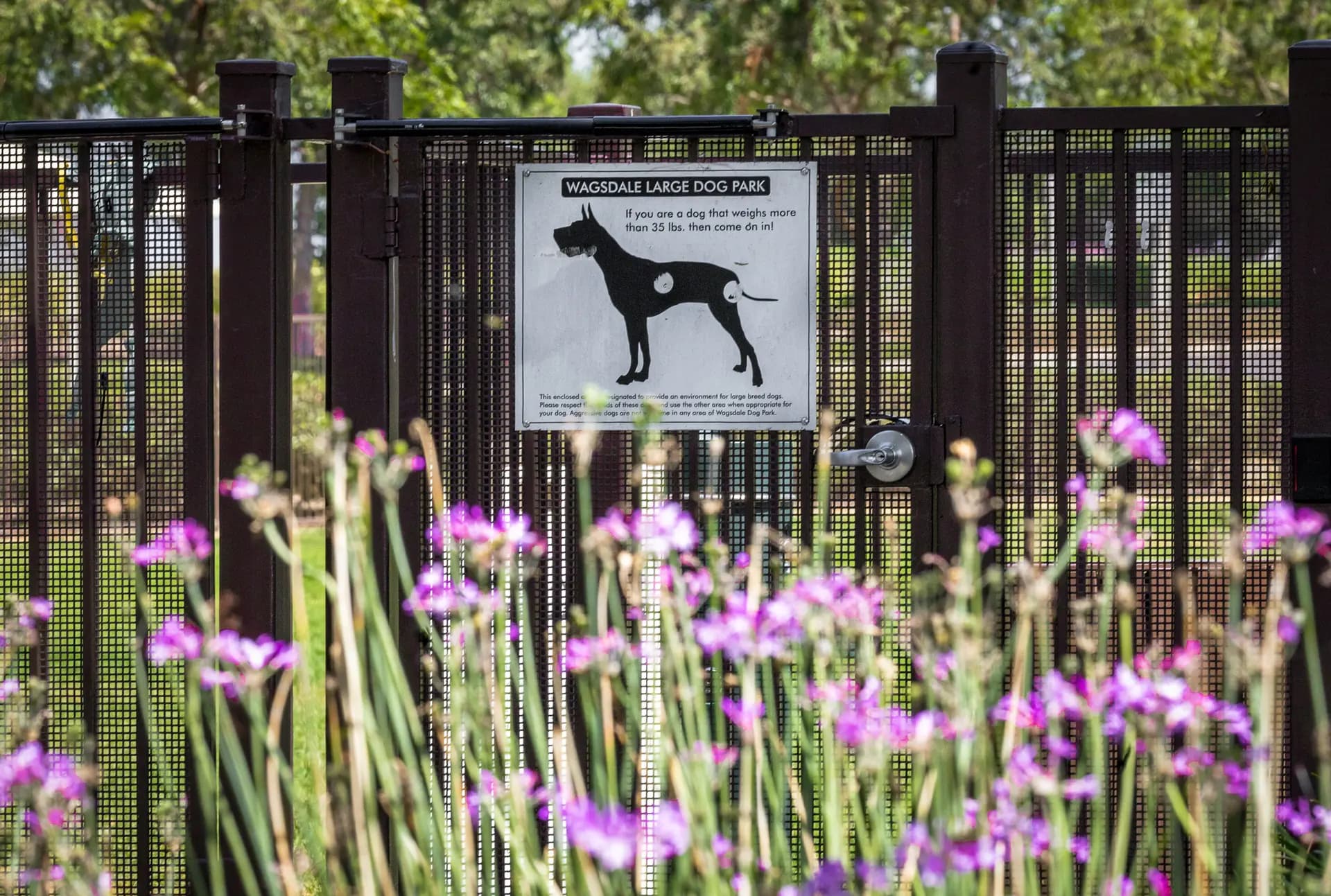 Un parque para perros en Ladera Ranch, California, el 24 de julio de 2026. La exposición a pesticidas está asociada con un mayor riesgo de cánceres comunes en perros, entre otras dolencias, según una extensa investigación. (John Fredricks/The Epoch Times)