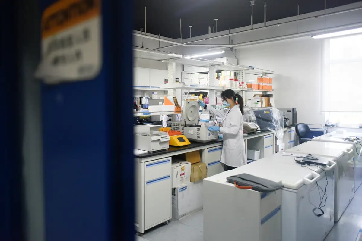 <em>Una investigadora del Centro de Innovación Avanzada para la Genómica de la Universidad de Beijing realiza pruebas en su laboratorio en Beijing el 14 de mayo de 2020. (Wang Zhao/AFP vía Getty Images).</em>