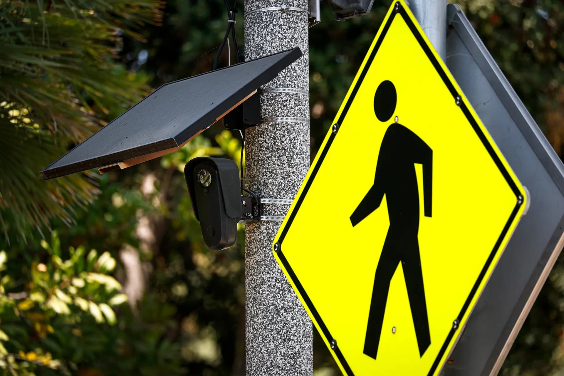 Una cámara de Flock Safety en Beverly Hills, California, el 3 de agosto de 2026. Las cámaras de lectura automática de matrículas de Flock Safety se han instalado en más de 120.000 ubicaciones en 49 estados. (Justin Sullivan/Getty Images)