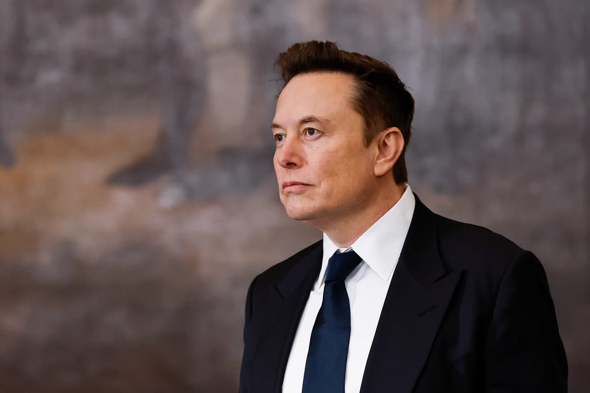 Elon Musk, director ejecutivo de Tesla, SpaceX y X, en Washington, el 20 de enero de 2025. (Chip Somodevilla/Getty Images)
