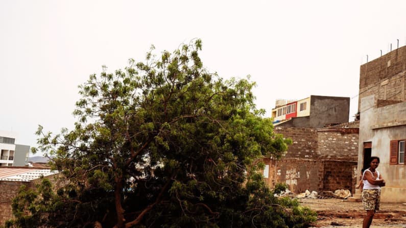 Dos tormentas activan el Atlántico: Gonzalo aparece y Fay se intensifica
