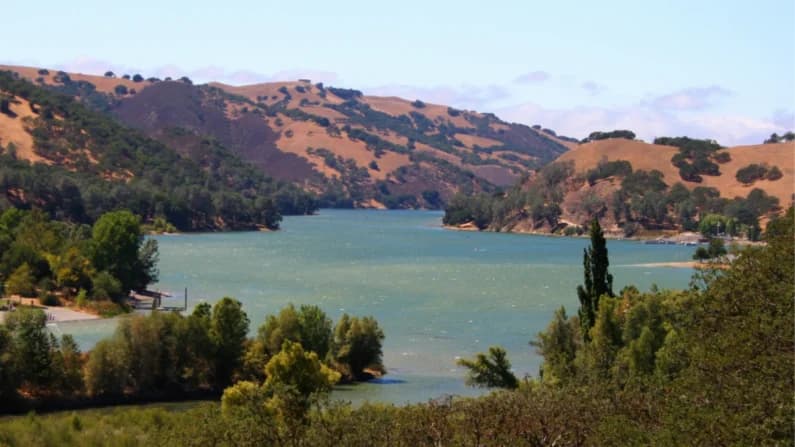 Autoridades ordenan cuarentena para embarcaciones por mejillones invasores en el lago Del Valle