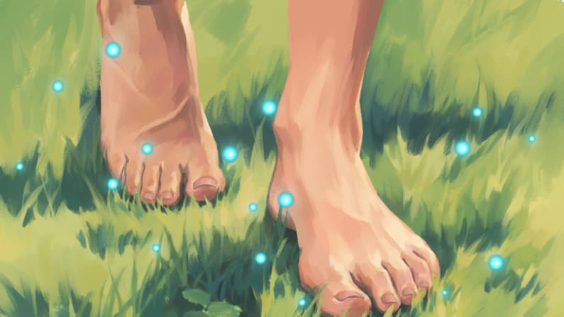 Conexión con la Tierra: La práctica de reconectarse con la naturaleza, 14 beneficios potenciales