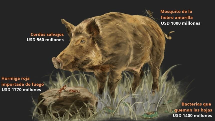 (Ilustraciones de Oriana Zhang/The Epoch Times)