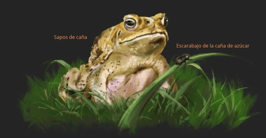 (Ilustraciones de Oriana Zhang/The Epoch Times)