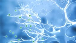 ¿Es el Parkinson una epidemia provocada por el hombre?